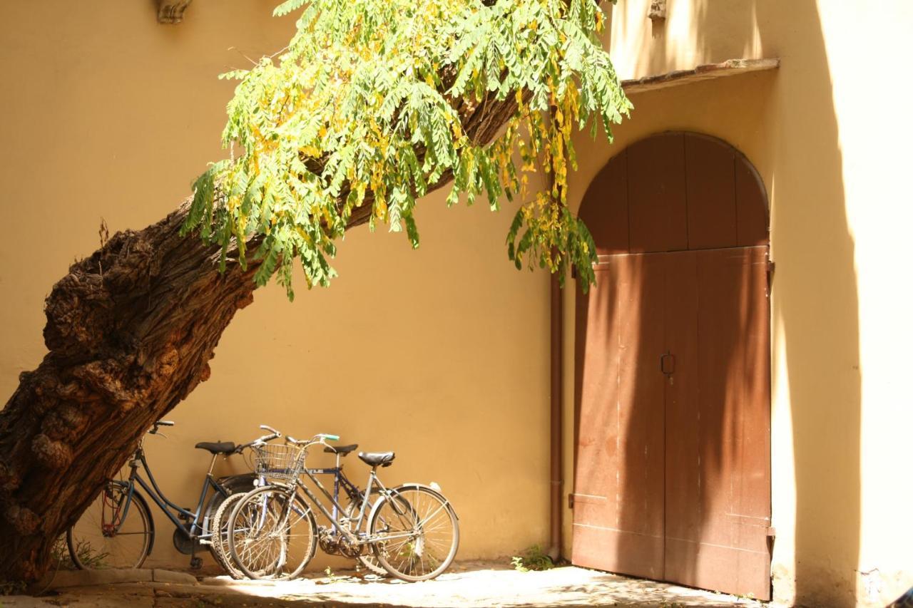 Appartement Acacia Firenze - Primula Chambre photo